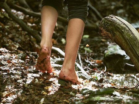 Barfuß im Wald – Naturerlebnis und digitale Auszeit für Kinder