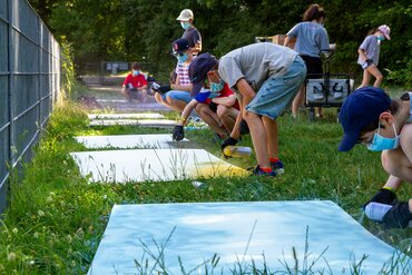 Street Art Camp Horn