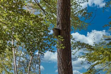 Sommercamp Natur Pur im Theresianum