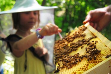 Grüne Insel Camp – die Zeltferien zum Austoben & Auftanken