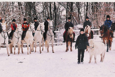 Reitwoche am Lipizzanergestüt / Neujahr