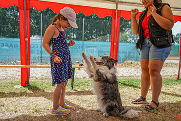 Hundecamp Wien / Happyland